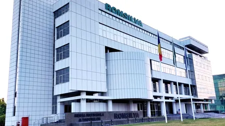 Ministerul Mediului organizează, luni, o dezbatere publică pentru selecţia directorului general interimar al ROMSILVA