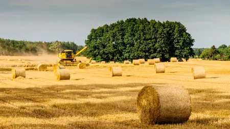 AGRICULTURĂ. Promisiune pentru fermieri. Țărane, dormi liniștit, statul român veghează pentru tine!