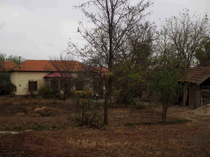 Localitatea din România în care poți CUMPĂRA o casă cu 40.000 de lei. Terenul are peste 1.500 de metri pătrați