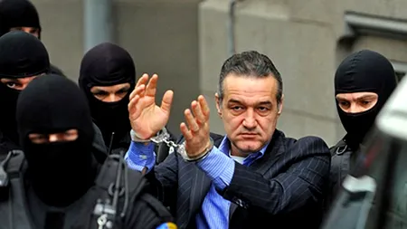 Gigi Becali ar putea lucra în timpul executării pedepsei pentru nașul său Gheorghe Hagi
