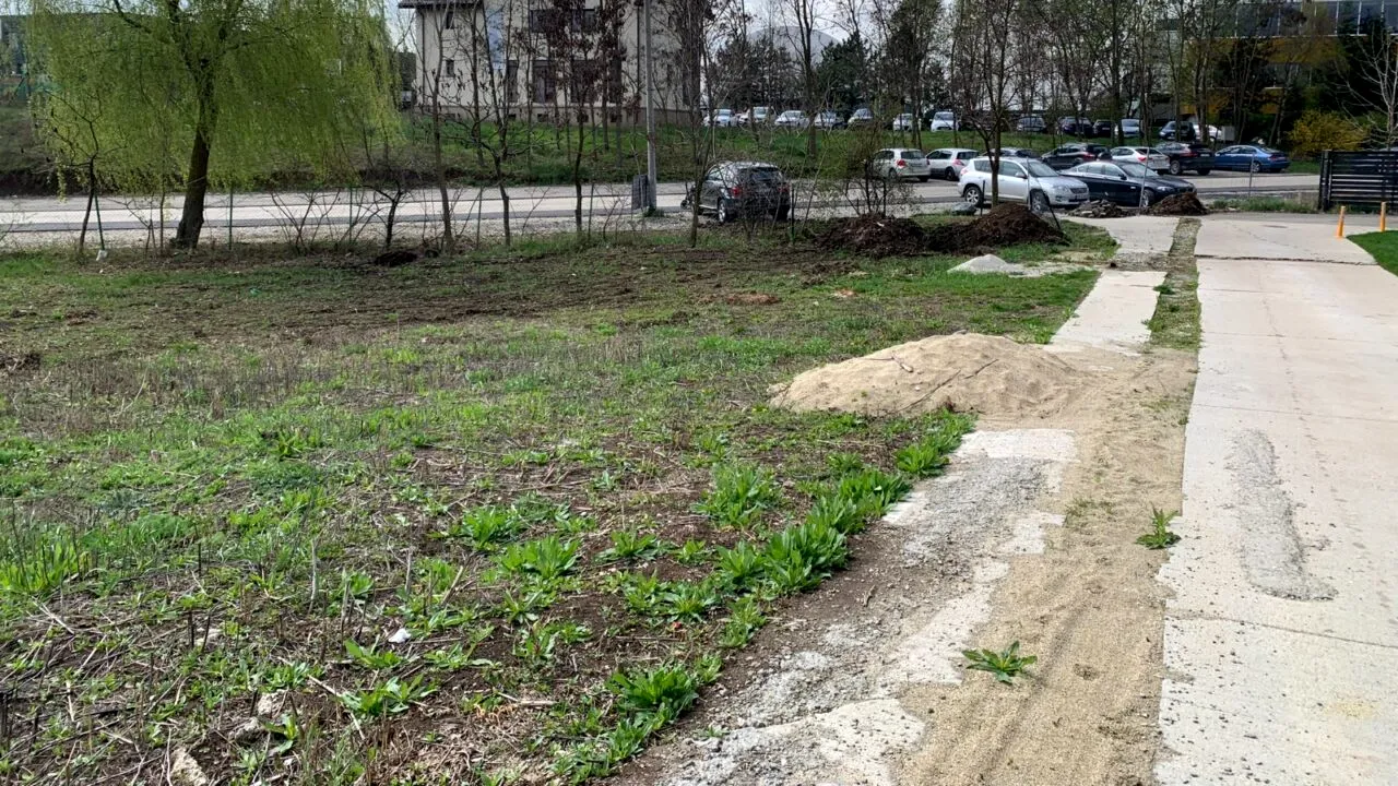 Raiul imobiliarelor nu este nici București, nici Cluj, nici Iași. Comuna care le dă flit