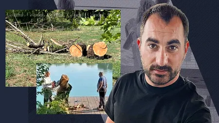 Cum se taie arborii în HERĂSTRĂU ca să se extindă Taverna Racilor. ALPAB, pe mână cu Pescobar! Ce se întâmplă în administrația Nicușor Dan, marele protector al spațiilor verzi