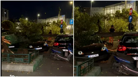 Clipe de coșmar în sectorul 6 al Capitalei. Un copac s-a prăbușit peste trei mașini și un motociclist. Bărbatul a fost transportat de urgență la spital