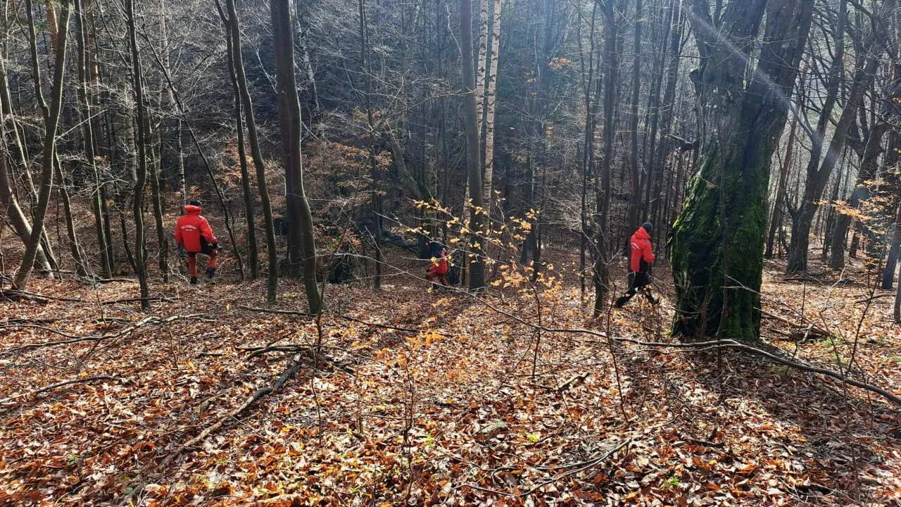 CADAVRU în stare avansată de putrefacție găsit într-o pădure din Călimăneşti