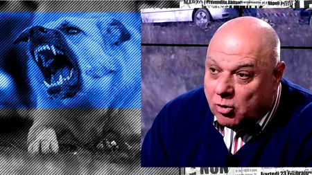 VIDEO | Marius Marinescu, despre cazul femeii ucise de un câine în sectorul 3: „Eu zic să așteptăm ancheta Poliției și necropsia, să nu aruncăm anatema pe toții câinii”