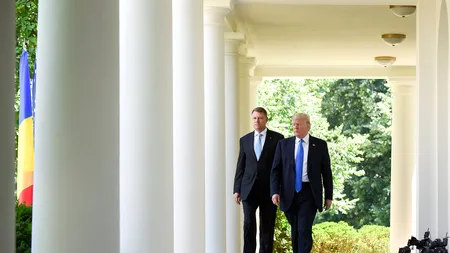 Rose Garden, văzută de pe tăpșan