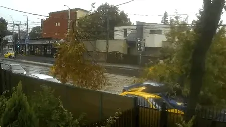 Momentul în care un copac cade pe o mașină aflată în mișcare. Vremea de azi a făcut prăpăd în București