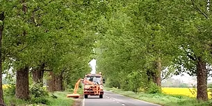 Tratamente pentru combaterea și distrugerea buruienii ambrozia pe DJ 200 Gagu-Grădiștea (P)