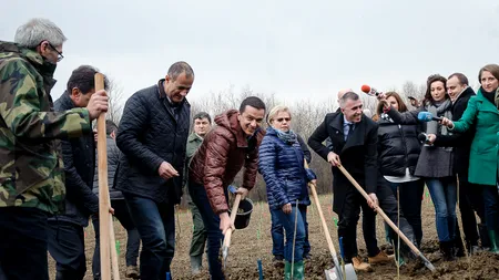 Constatarea „curioasă