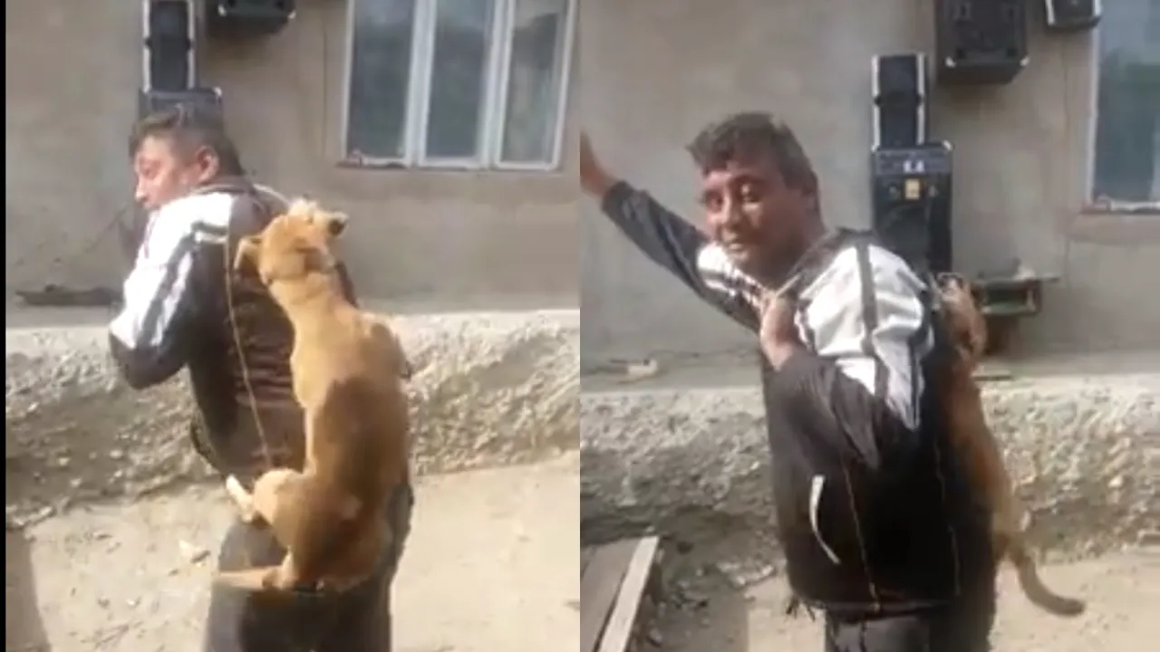 #cugandullaanimale. Un bărbat din Bacău dansează în timp ce strânge de gât un câine: „Lasă-l că are purici