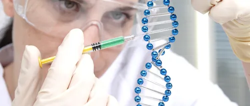 Genele umane conțin fragmente de ADN non-uman. De unde provin acestea și cum au ajuns la în ADN-ul nostru