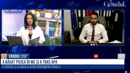 GÂNDUL LIVE. Avocatul Adrian Cuculis, despre cazul adolescenților care au băgat o pisică în toaletă: „Ar trebui să răspundă penal!”
