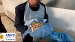Filmul controlului ANPC la Arhitectură. Până și Piedone a rămas șocat de starea în care era mâncarea vândută studenților
