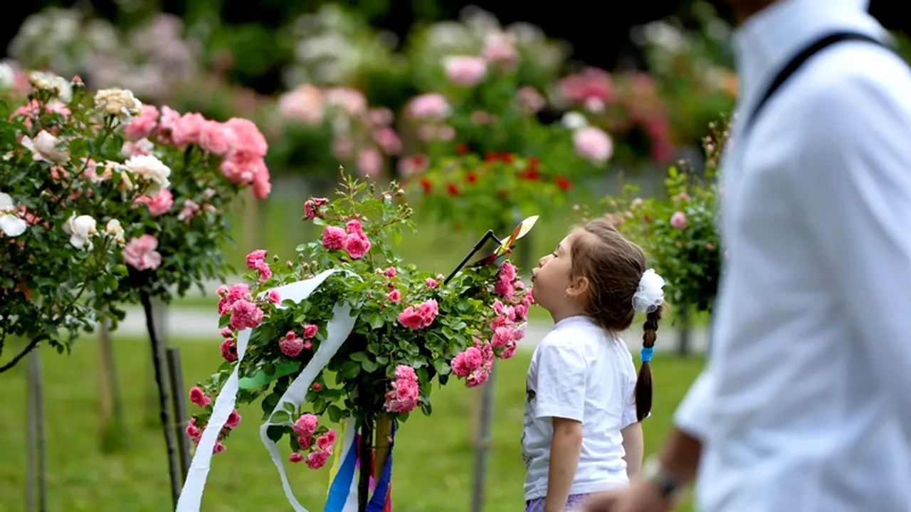 Primăria Sectorului 3 dă aproape 70 de milioane de euro pentru amenajarea spațiilor verzi