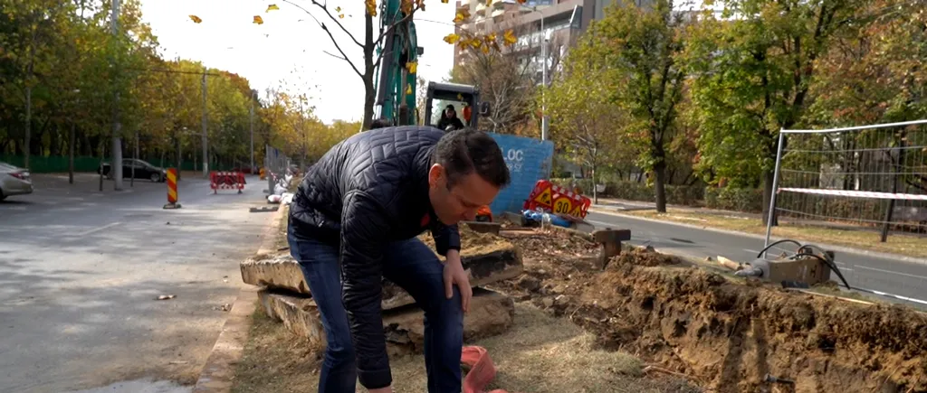 VIDEO | Peste 100 de copaci defrișați DEGEABA de Primăria Generală! Primarul Sectorului 3, Robert Negoiță, vine cu dovezi de la fața locului