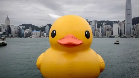 Guvernul chinez interzice căutarea pe Internet a expresiei 