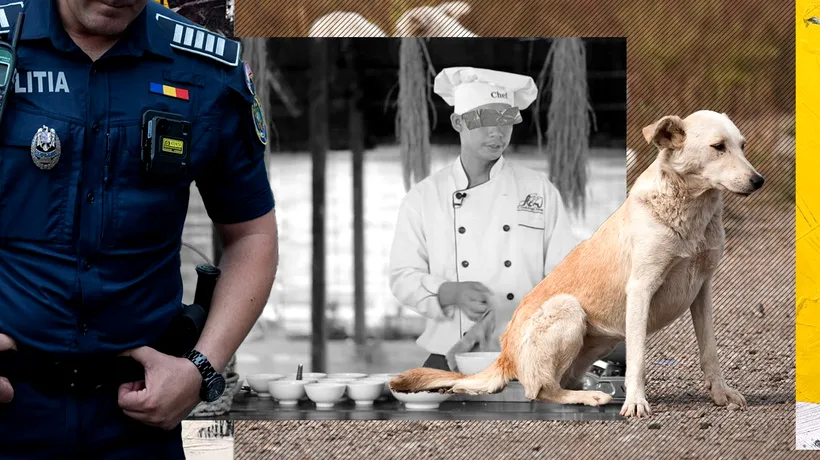 EXCLUSIV | Muncitori vietnamezi, monitorizați de Poliție după ce ar fi mâncat câini, pisici și păsări. Riscă 7 ani de pușcărie