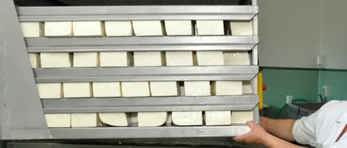 Au cerut „șpagă brânză și pătrunjel. Angajate ale DGASPC Vrancea, anchetate după reclamația unui beneficiar de servicii sociale
