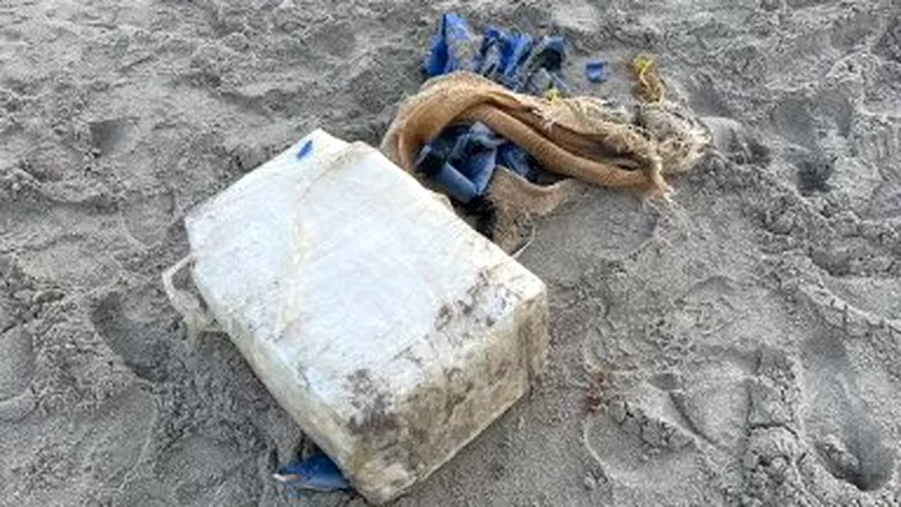 Un pachet cu cocaină în valoare de un milion de euro, găsit pe o plajă din Florida
