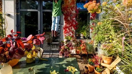 Locul superb din Ungaria unde o casă, cu toate utilitățile, se vinde la preț de garsonieră. Tot mai mulți români au început să se mute definitiv