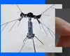China a fabricat ȚÂNTARUL SPION INVIZIBIL. Drona minusculă intră în casă și pe gaura cheii