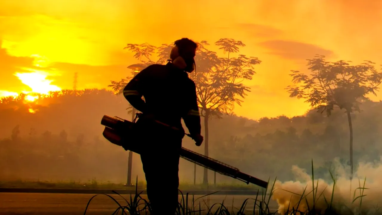 Raport îngrijorător al OMS: Peste o jumătate de milion de oameni mor anual de malarie 