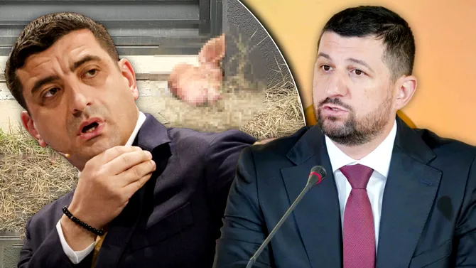 George Simion răspunde acuzațiilor lui Marius Lulea în scandalul capului de porc lăsat la poartă: „Cer anchete rapide și probe, nu verdicte televizate”