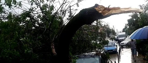 Vântul face ravagii: 128 copaci căzuți, 78 mașini avariate și două persoane rănite. UPDATE