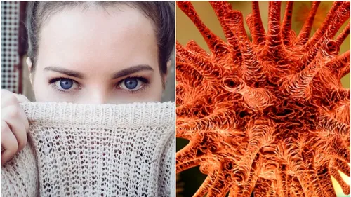 STUDIU | Pe ce fel de haine rezistă mai puțin CORONAVIRUSUL: „Acest material usucă și dezintegrează virusul”