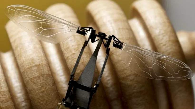Cercetătorii de la Harvard au creat cel mai mic robot zburător. VIDEO