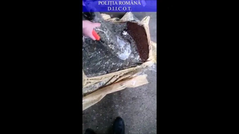 Cinci tineri, prinși în timp ce ridicau un colet cu 6,5 kg de canabis. Oamenii legii au făcut percheziţii domiciliare (VIDEO)