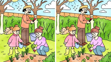 TEST IQ | Câte diferențe sunt între cele 2 poze? 99 din 100 nu le văd pe toate