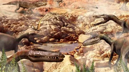 Descoperire de senzație: cum arată mamiferul care a supraviețuit evenimentelor în urma cărora dinozaurii au dispărut