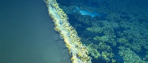Descoperire infricoșătoare în Golful Mexic: ''Lacul subacvatic'' care ucide orice creatură din zonă