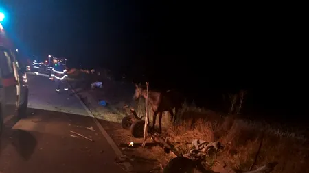 UPDATE - Căruță spulberată de o mașină, pe un drum din Teleorman. Două persoane au murit și șase au fost rănite, între care patru copii / Planul Roșu de Intervenție a fost dezactivat (FOTO-VIDEO)