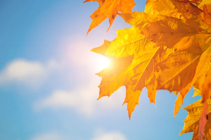 foto ilustrativa: sursa foto: Envato