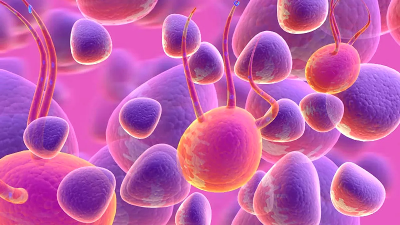 Compusul care se regăsește în câteva alimente consumate frecvent poate fi devastator pentru pacienții cu cancer mamar