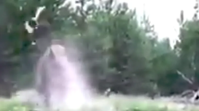 Scene cumplite: O fetiță de doar nouă ani a fost lovită și aruncată în aer de un bizon - VIDEO