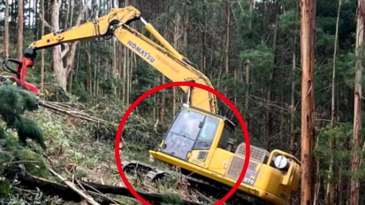 Realitate sau iluzie optică? Detaliul straniu observat într-o fotografie aparent banală: ”Ce este asta?”