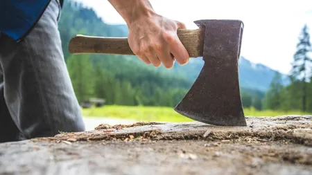 CRIMĂ șocantă în Olt. Un bărbat de 62 de ani, ucis cu un topor chiar de prietenul său. Criminalul a vrut să ascundă trupul victimei