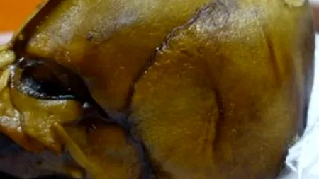 Descoperire uluitoare: este un om, nu un extraterestru