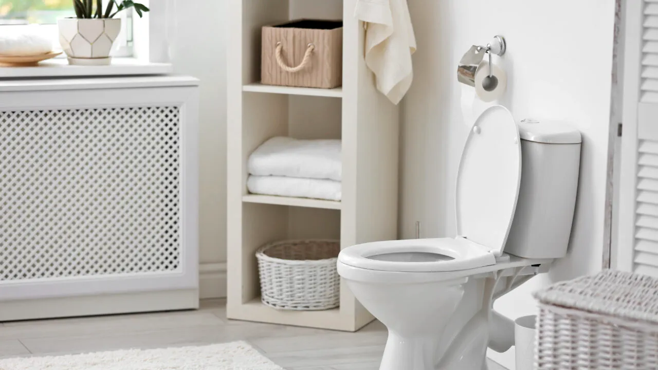 Ce NU trebuie să aruncăm în canalizare pentru că vasul de WC nu este coș de gunoi! Topul obiceiurilor care ne pot înfunda țevile și polua apa
