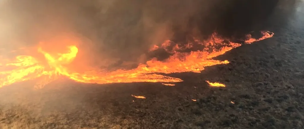 VIDEO | Fenomen rar. O „tornadă de foc” a fost surprinsă în timpul unui incendiu de vegetație din Los Angeles