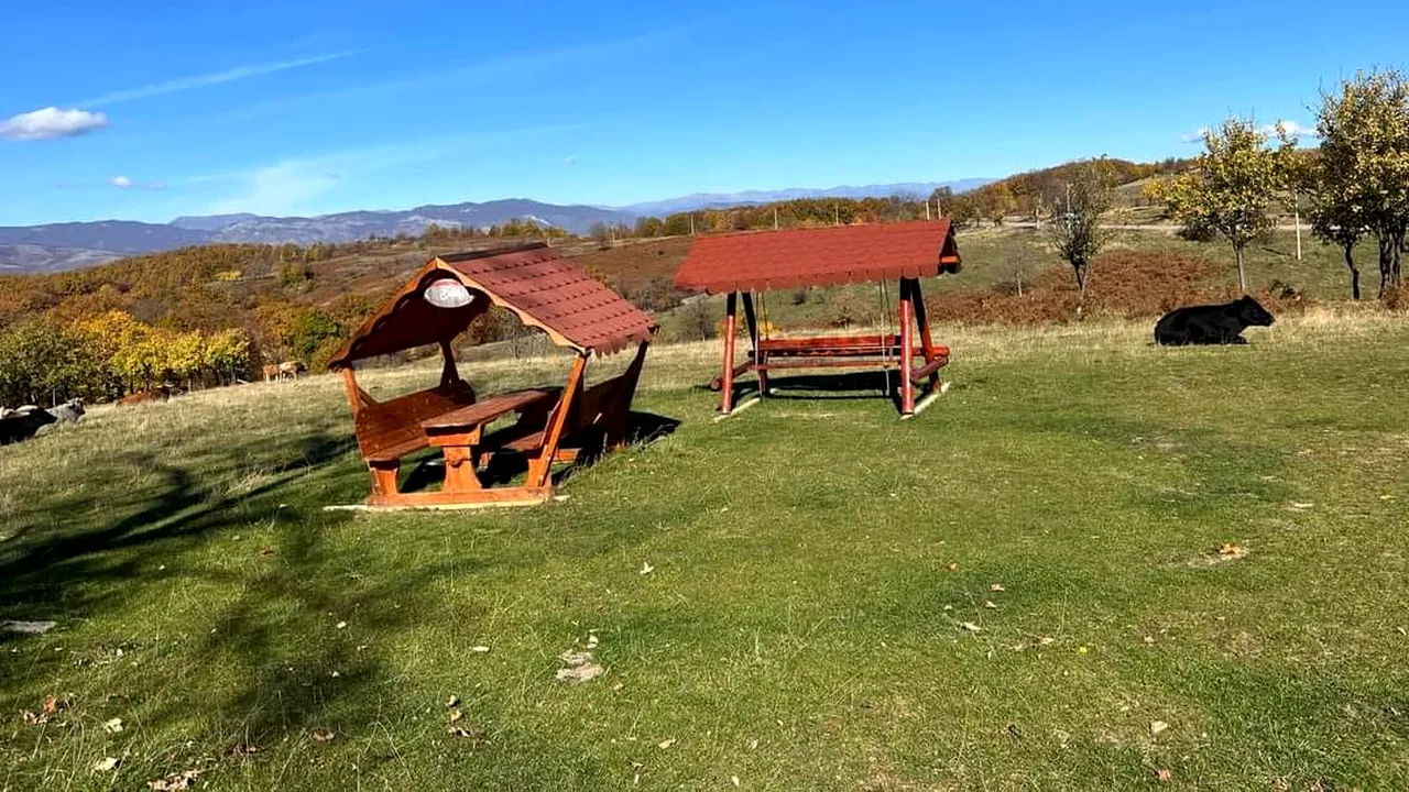 Ce se mai FURĂ în România. Mai multe persoane au furat foișorul unei primării din Mehedinți