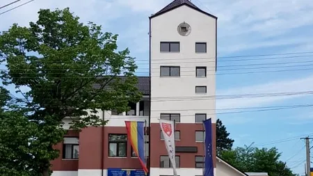 Apel pe Facebook: Asistații social din comuna Ferești, chemați de Primărie „cu un topor asupra lor” ca să taie lemne