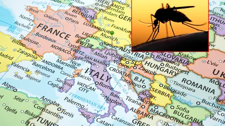 Statul european popular în rândul turiștilor în care s-a detectat un virus tropical. Un bărbat a fost infectat după o înțepătură de țânțar