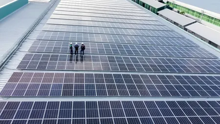 De la energie verde la economii mari: Cum să alegi cel mai bun sistem fotovoltaic pentru afacerea ta?