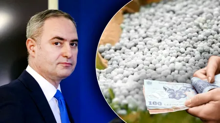 Fermierii cer bani în plus pentru îngrășăminte. Ce variante propune Alianța pentru Agricultură și Cooperare
