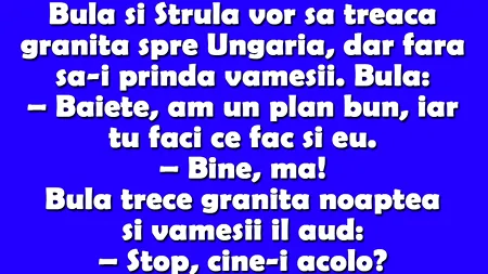 BANC | Bulă și Ștrulă vor să treacă granița spre Ungaria, dar fără să-i prindă vameșii