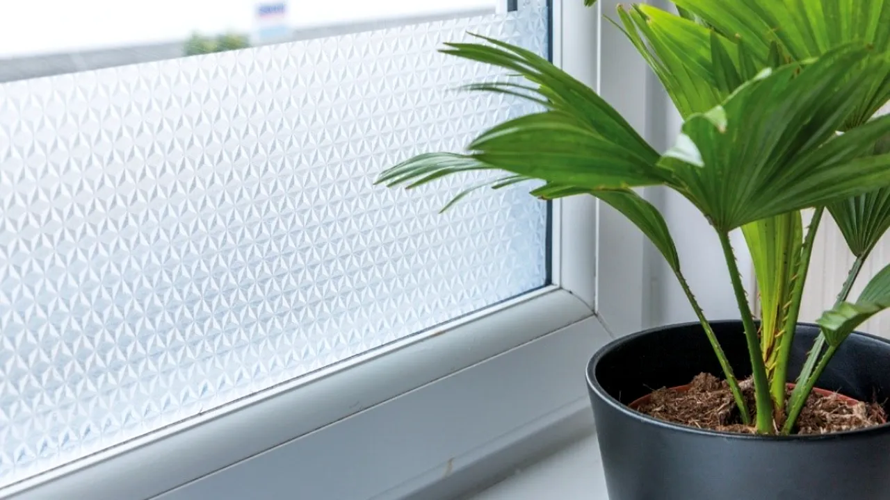 Intimitate, răcoare și design modern cu folie protecție solară autoadezivă (Comunicat de presă)